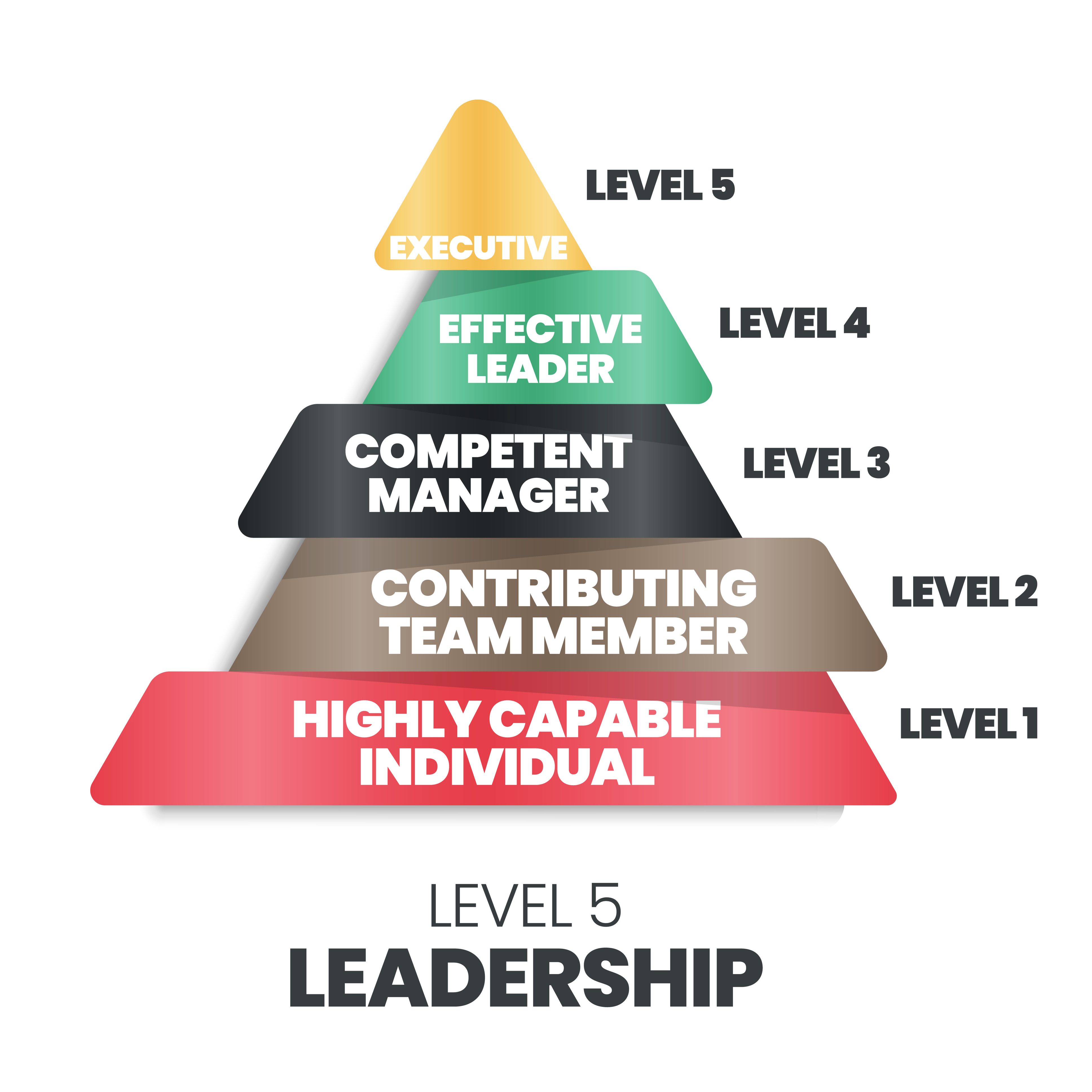 Will You Be A Level Five Leader 